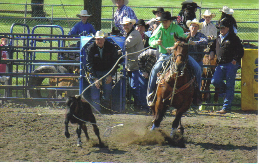 Mercado King, calf roping at Marshalltown